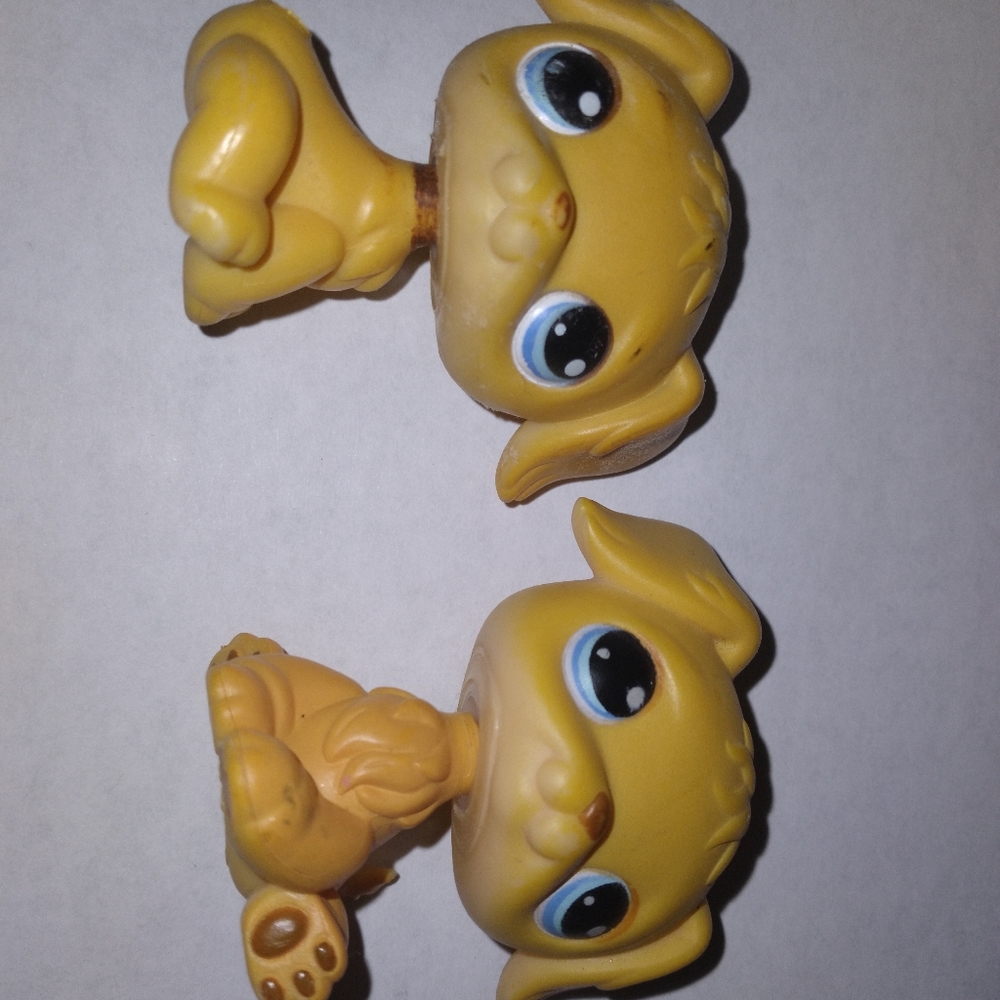 Littlest Pet shop Golden retriever #1